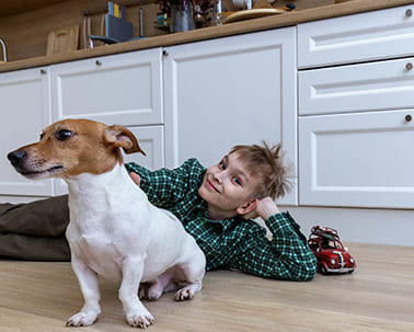 Ламинат MSPC Дуб Хантер